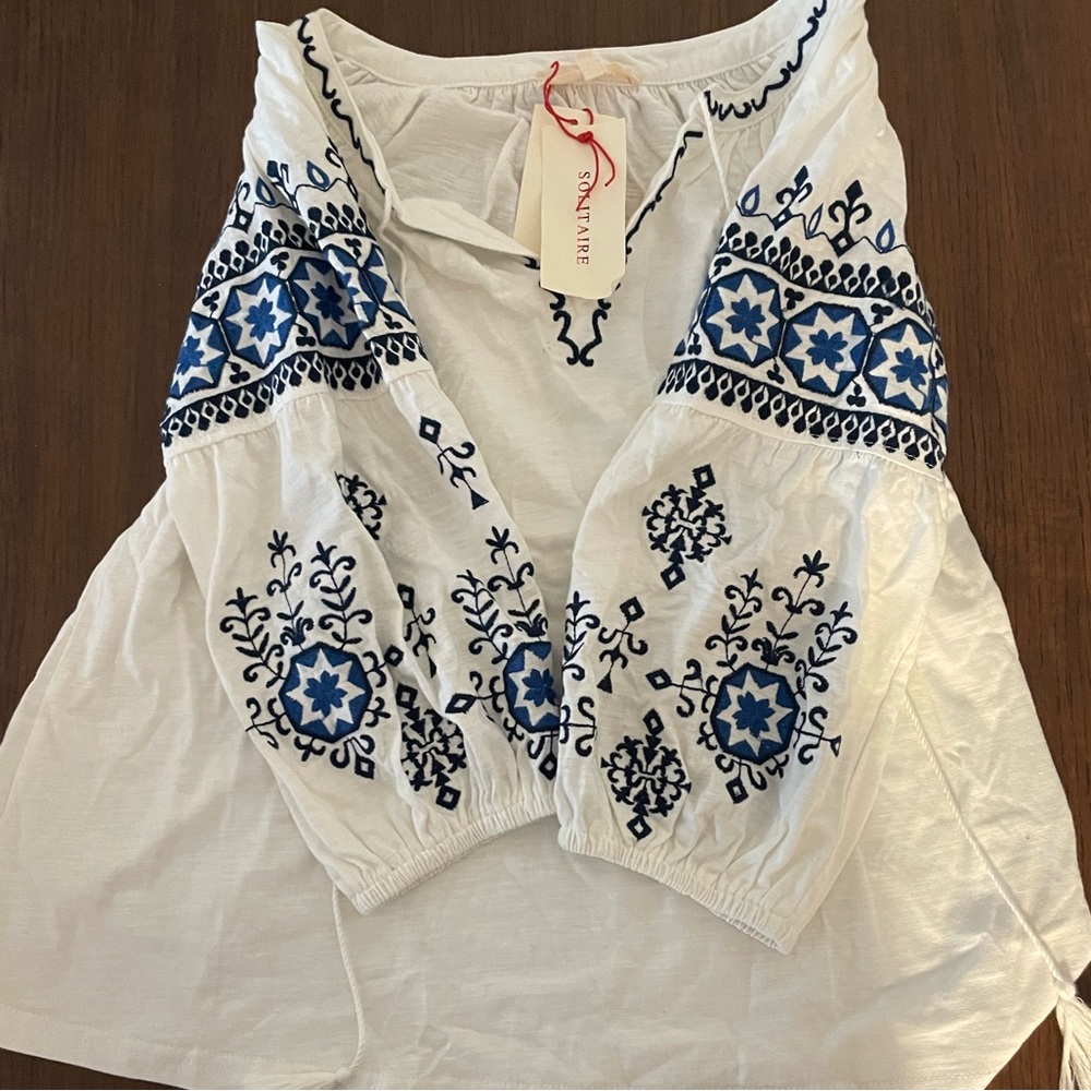 Solitaire Embroidered Balloon Sleeve Blouse